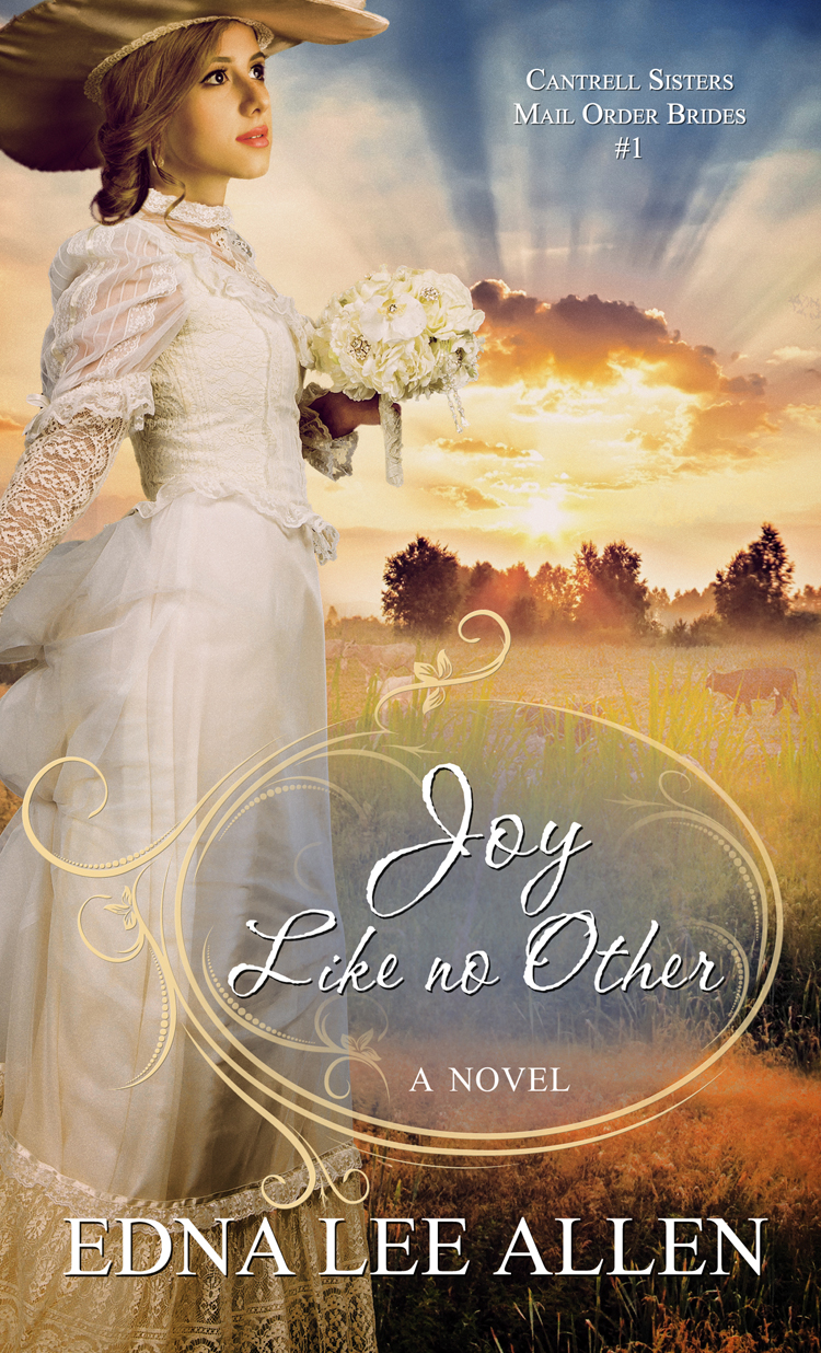 Joy Like No Other Edna Lee Allen