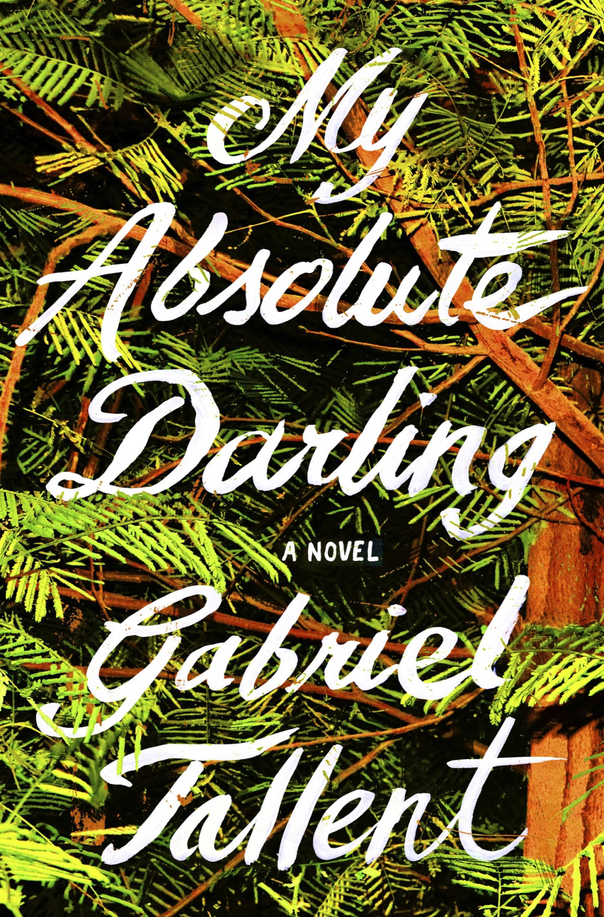 My Absolute Darling Gabriel Tallent
