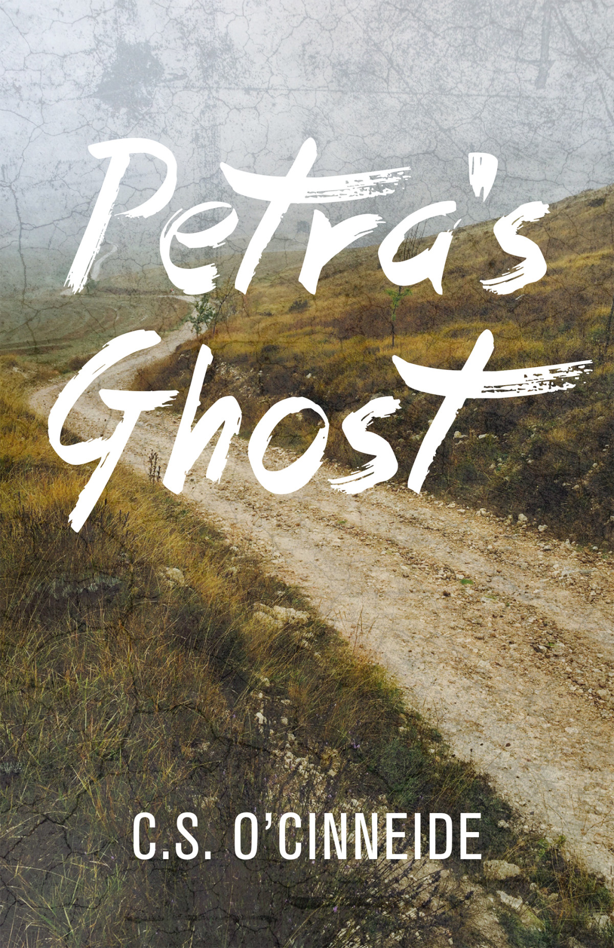 Petras Ghost Cs Ocinneide