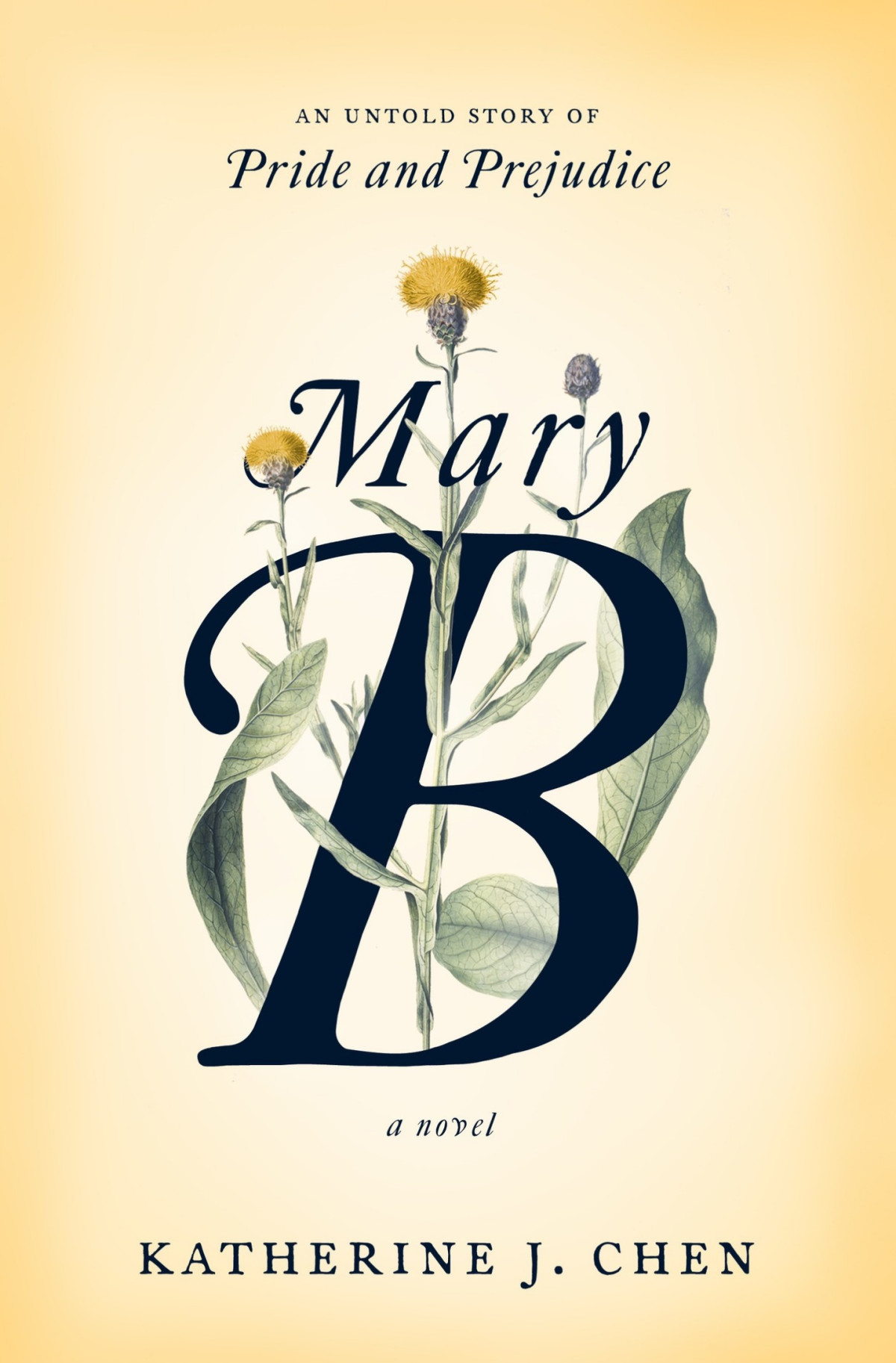 Mary B An Untold Story Of Pride And Prejudice Katherine J Chen