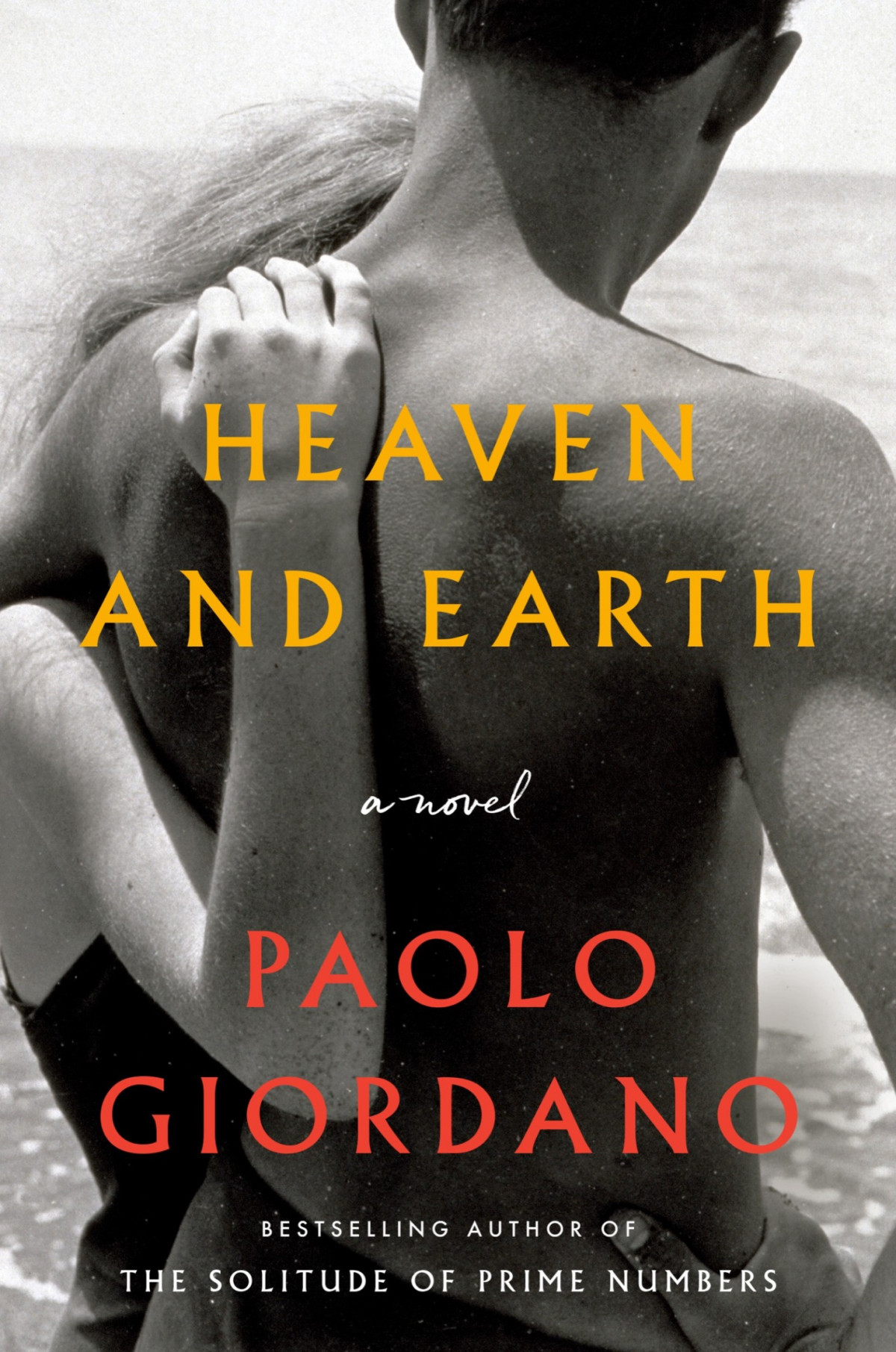 Heaven And Earth A Novel Paolo Giordano
