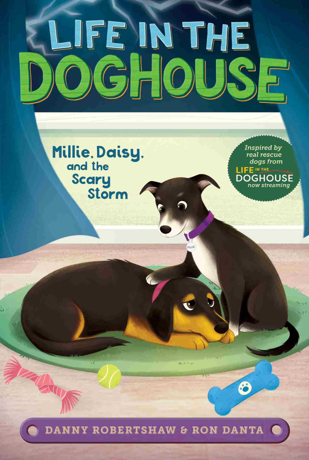 Millie Daisy And The Scary Storm Danny Robertshaw Ron Danta Crystal Velasquez
