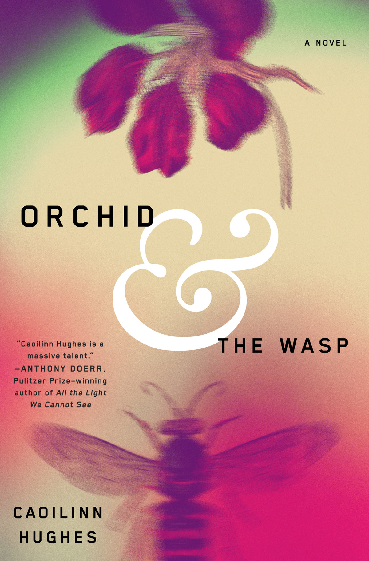 Orchid And The Wasp A Novel Caoilinn Hughes