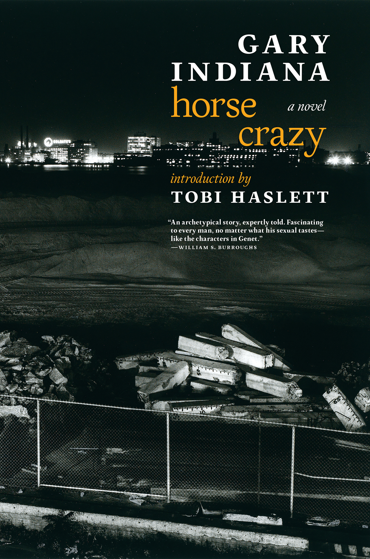 Horse Crazy Gary Indiana