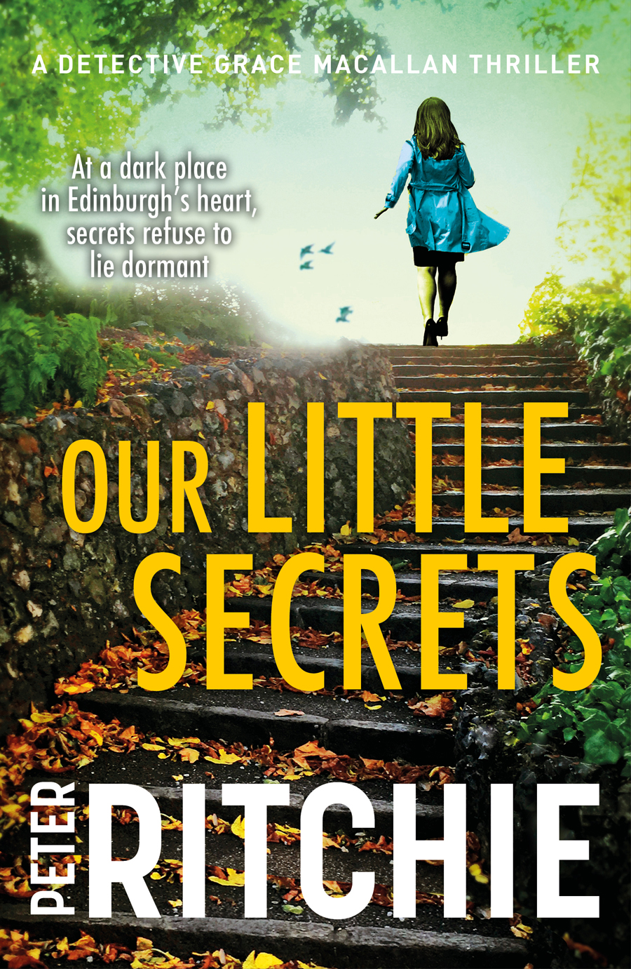 Our Little Secrets Peter Ritchie