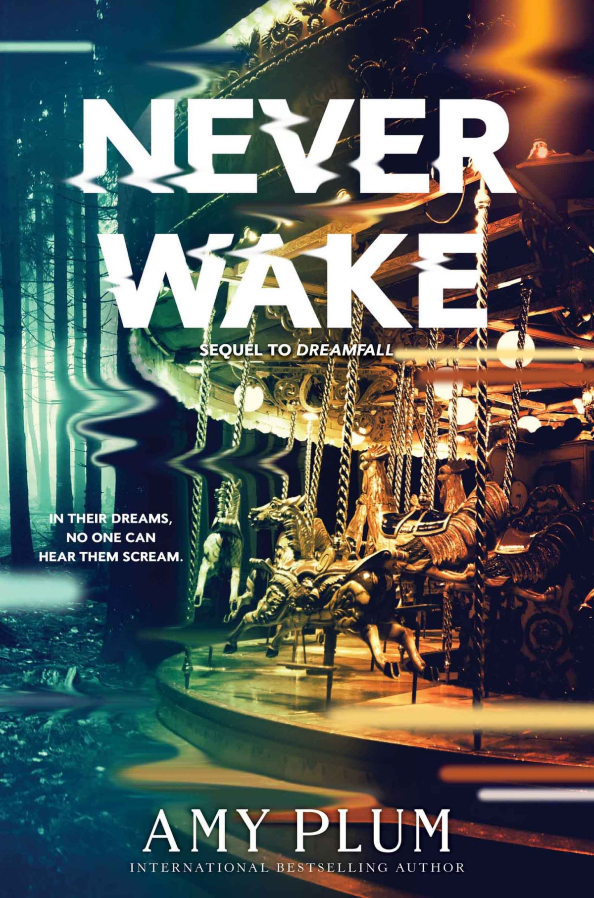 Neverwake Amy Plum