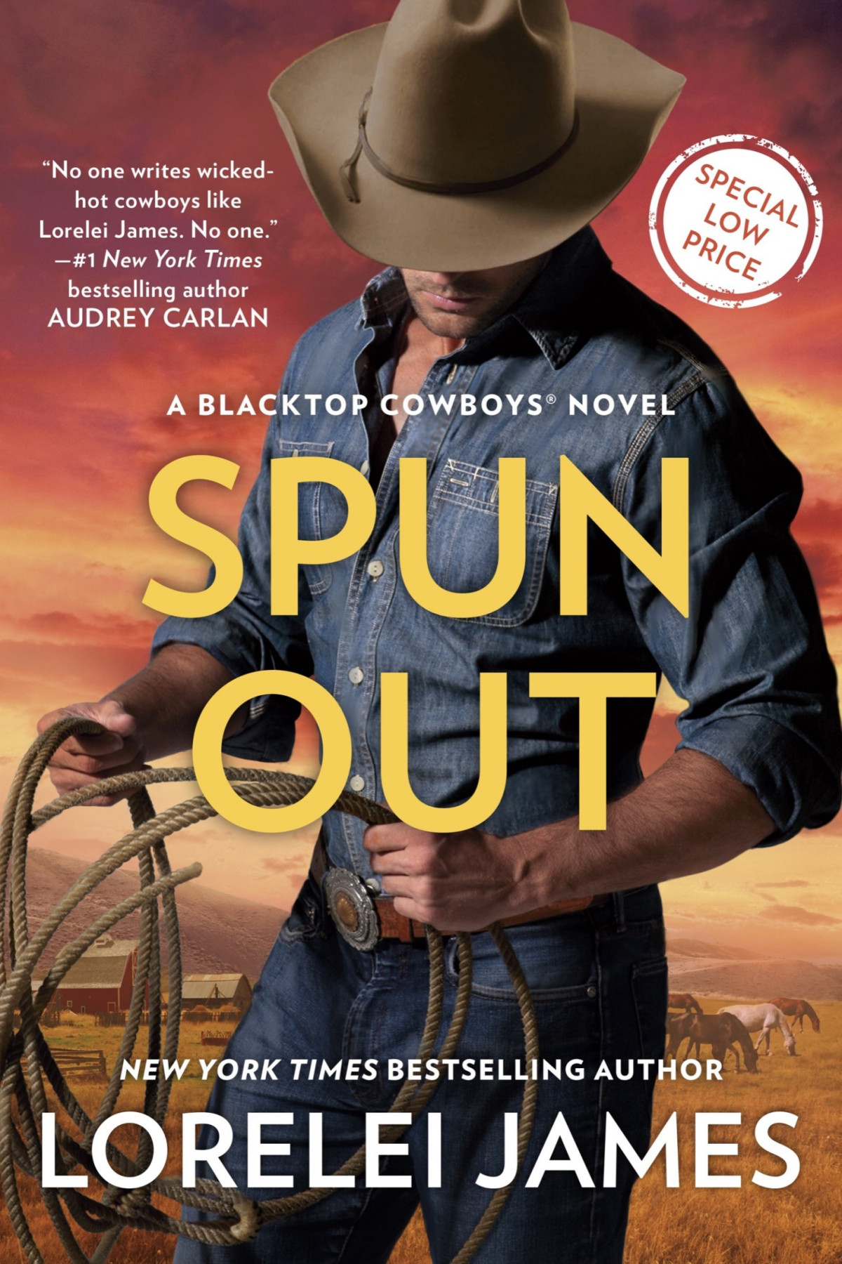 Spun Out Lorelei James