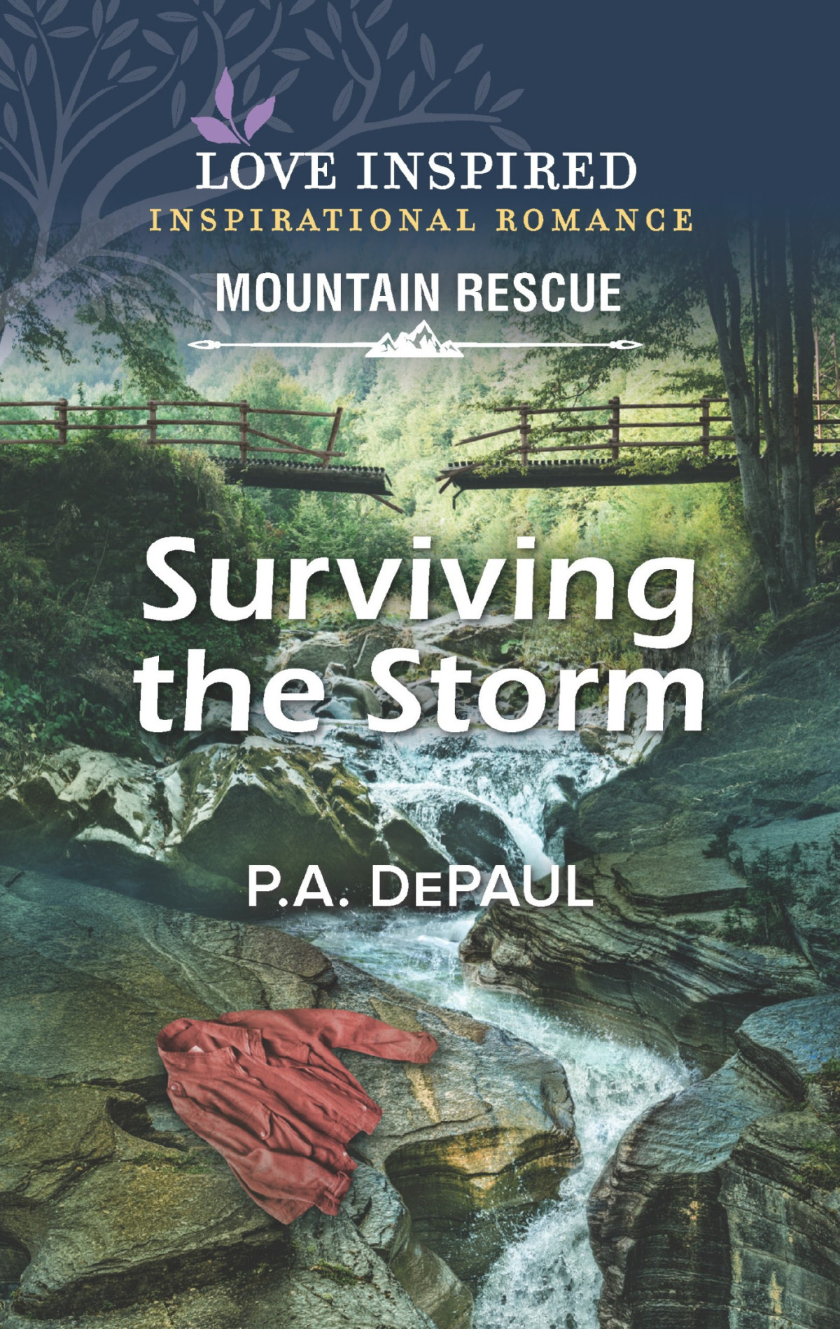 Surviving The Storm Pa Depaul