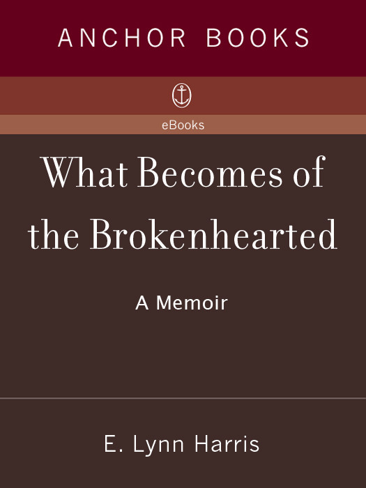 What Becomes Of The Brokenhearted E Lynn Harris