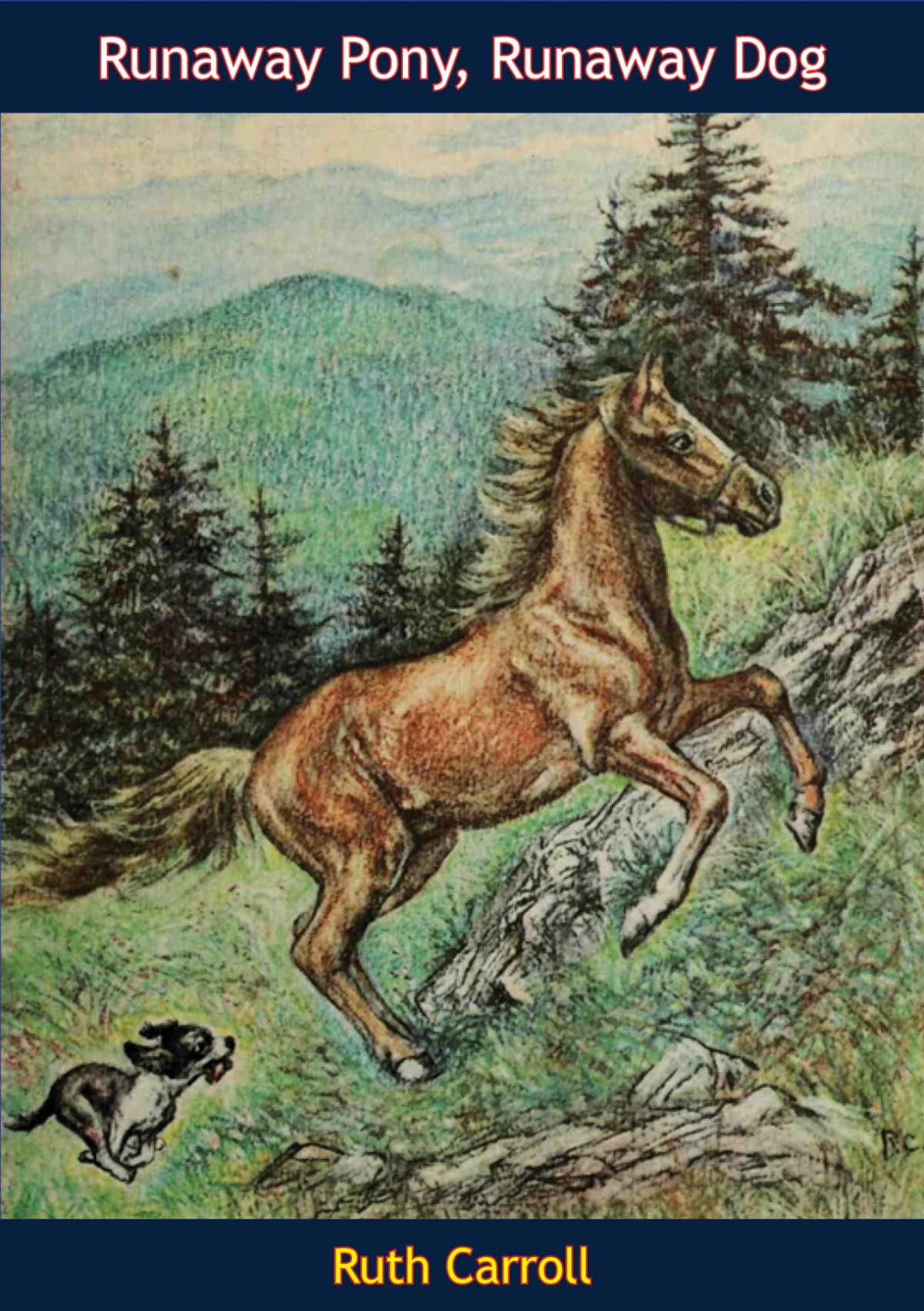 Runaway Pony Runaway Dog Ruth Carroll
