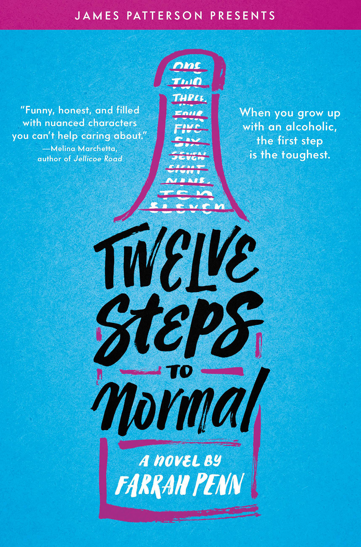 Twelve Steps To Normal Farrah Penn James Patterson