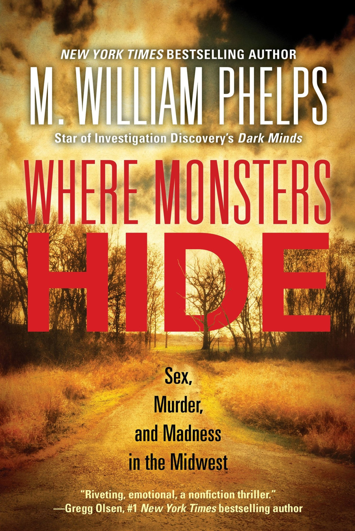 Where Monsters Hide M William Phelps