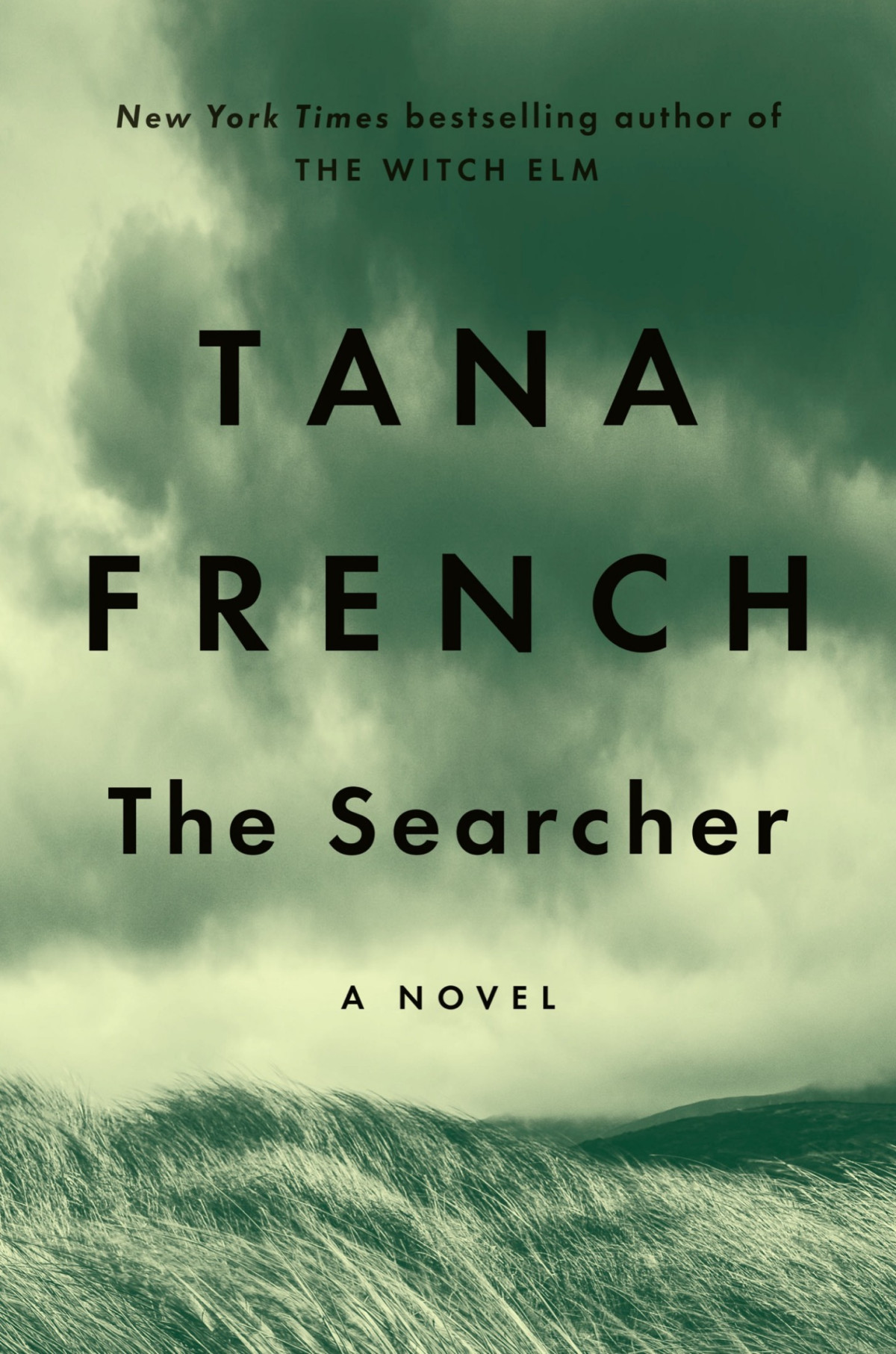 The Searcher A Novel A Novel Tana French