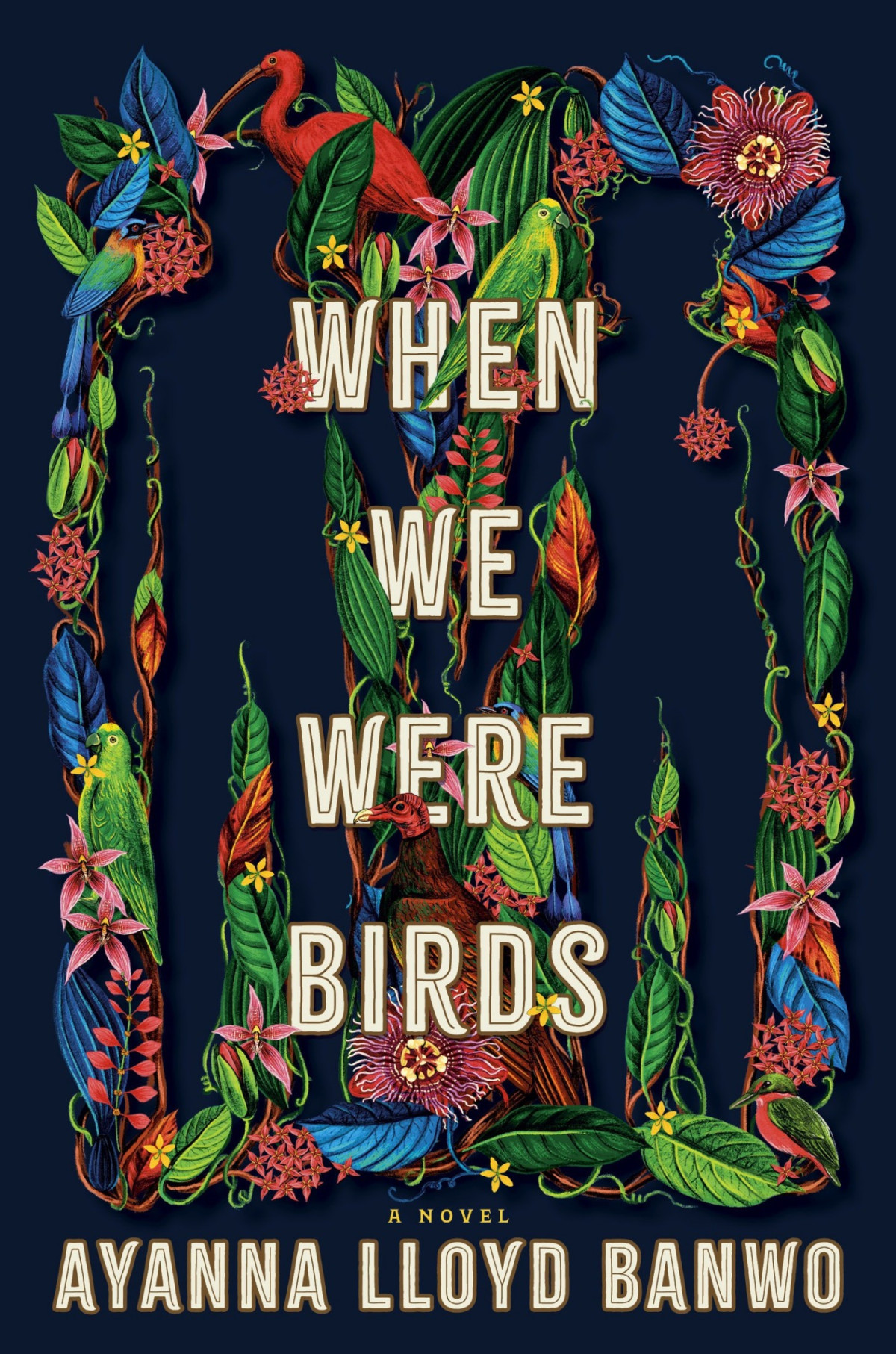 When We Were Birds A Novel Ayanna Lloyd Banwo