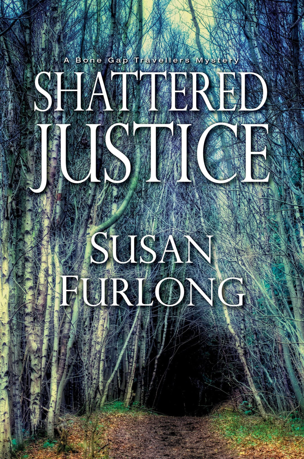 Shattered Justice Susan Furlong