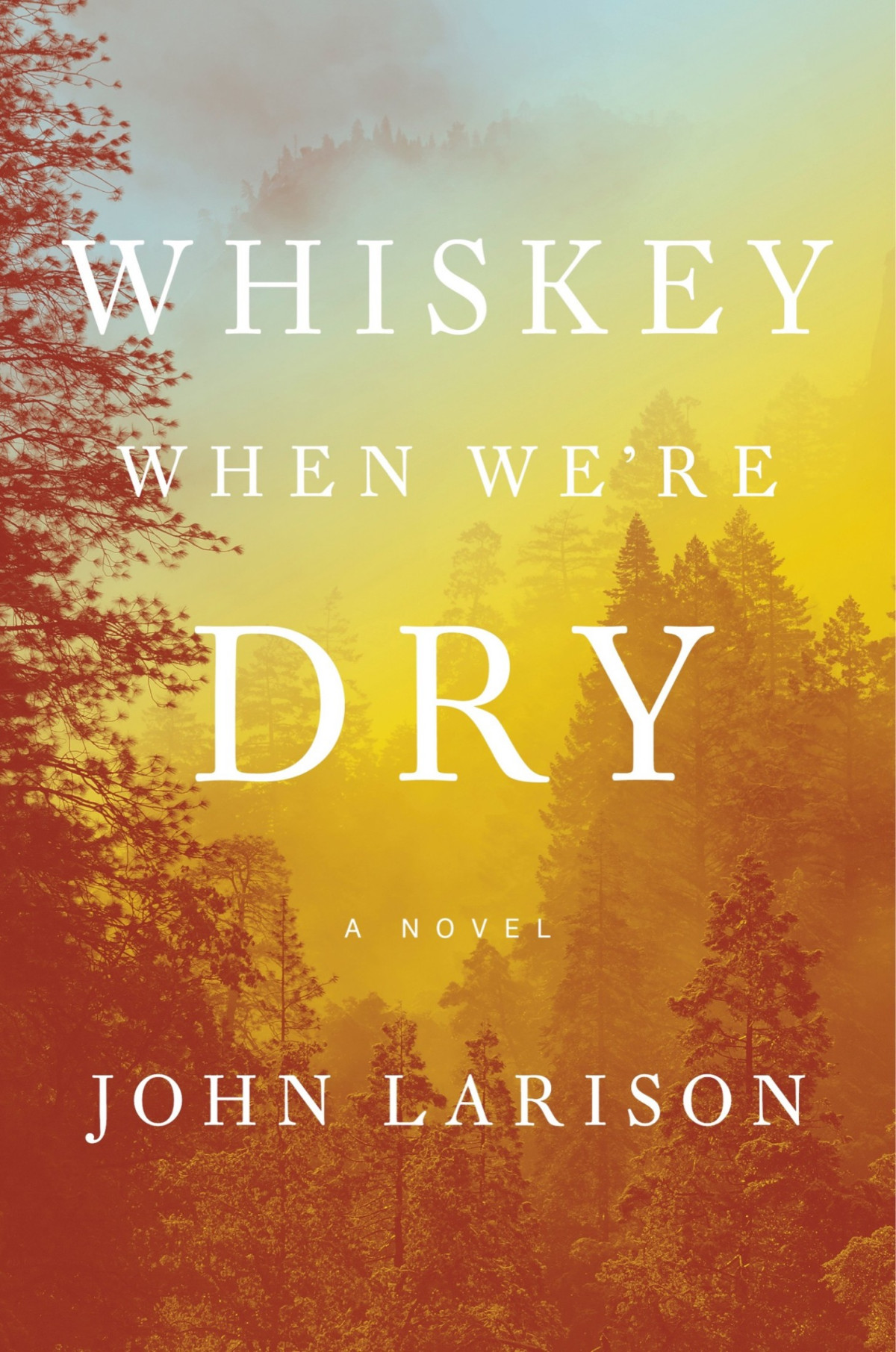 Whiskey When Were Dry John Larison