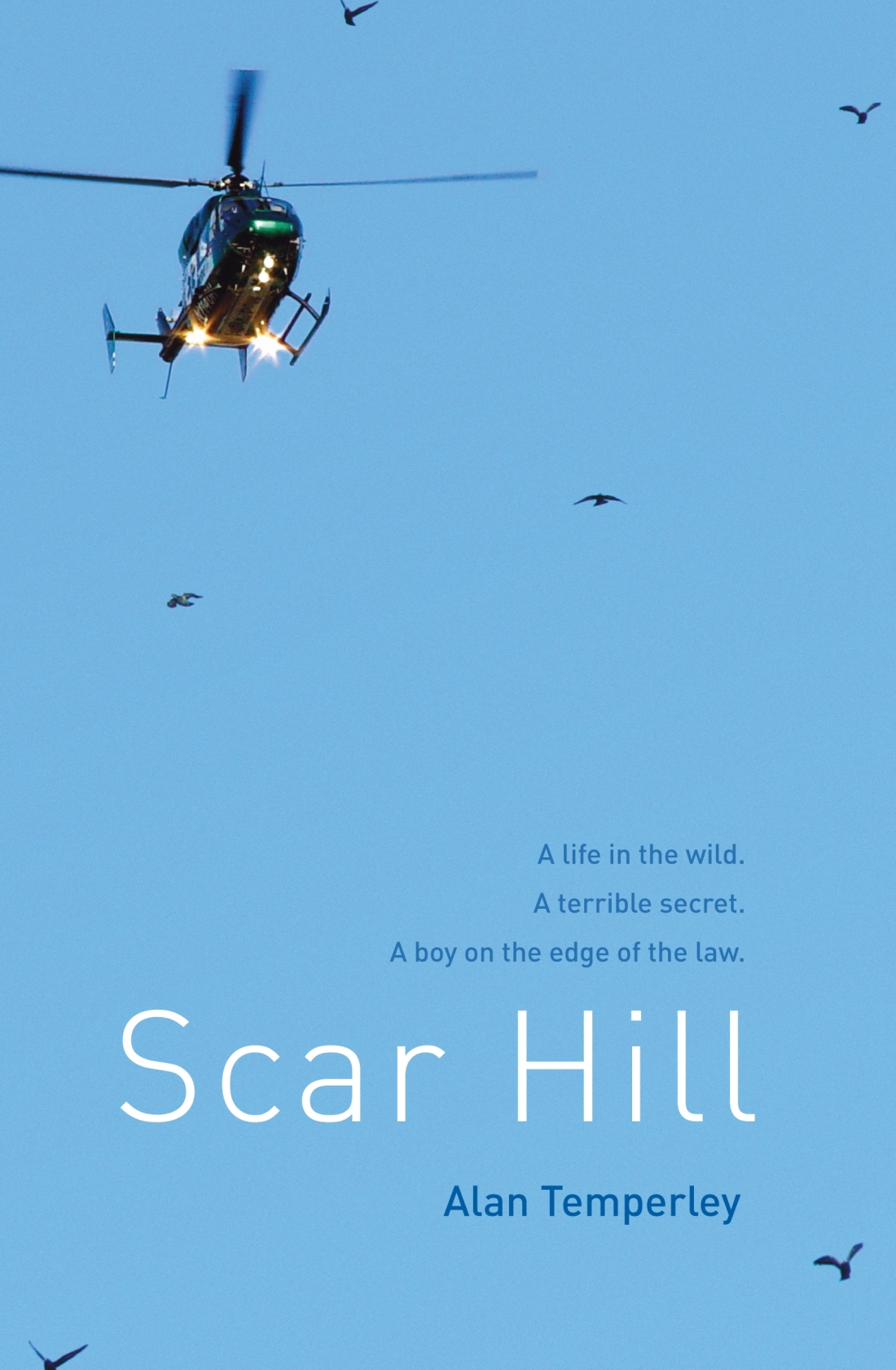 Scar Hill Alan Temperley