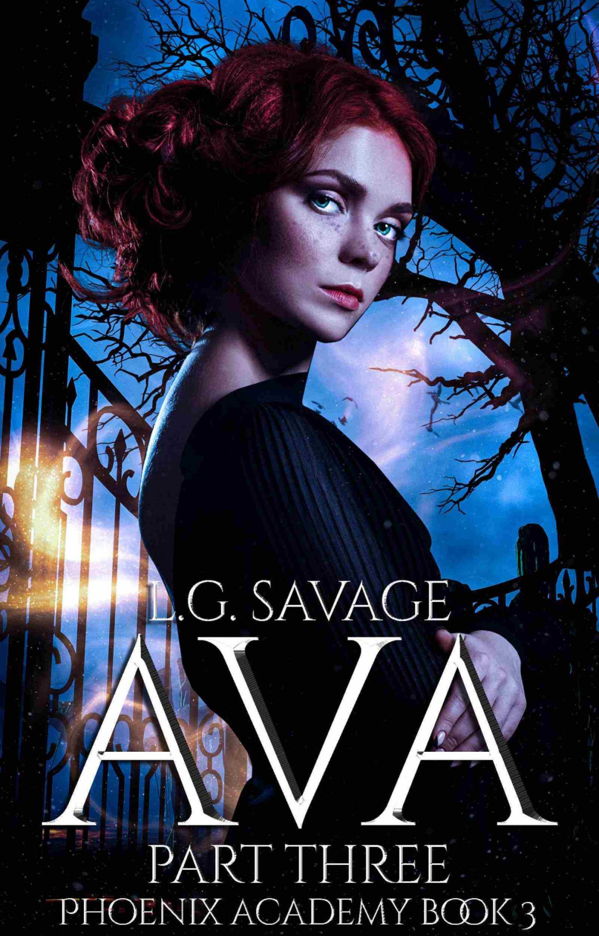 Ava Part Three L G Savage