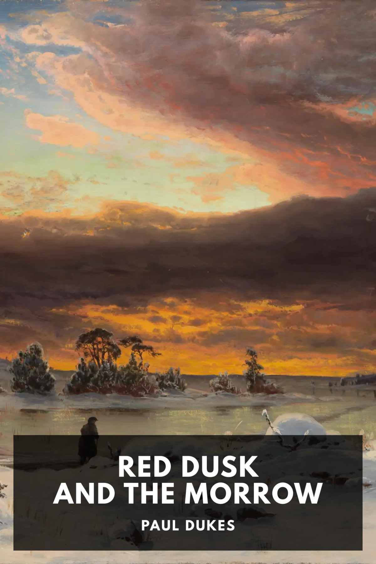 Red Dusk And The Morrow Adventures And Investigations In Red Russia Paul Dukes