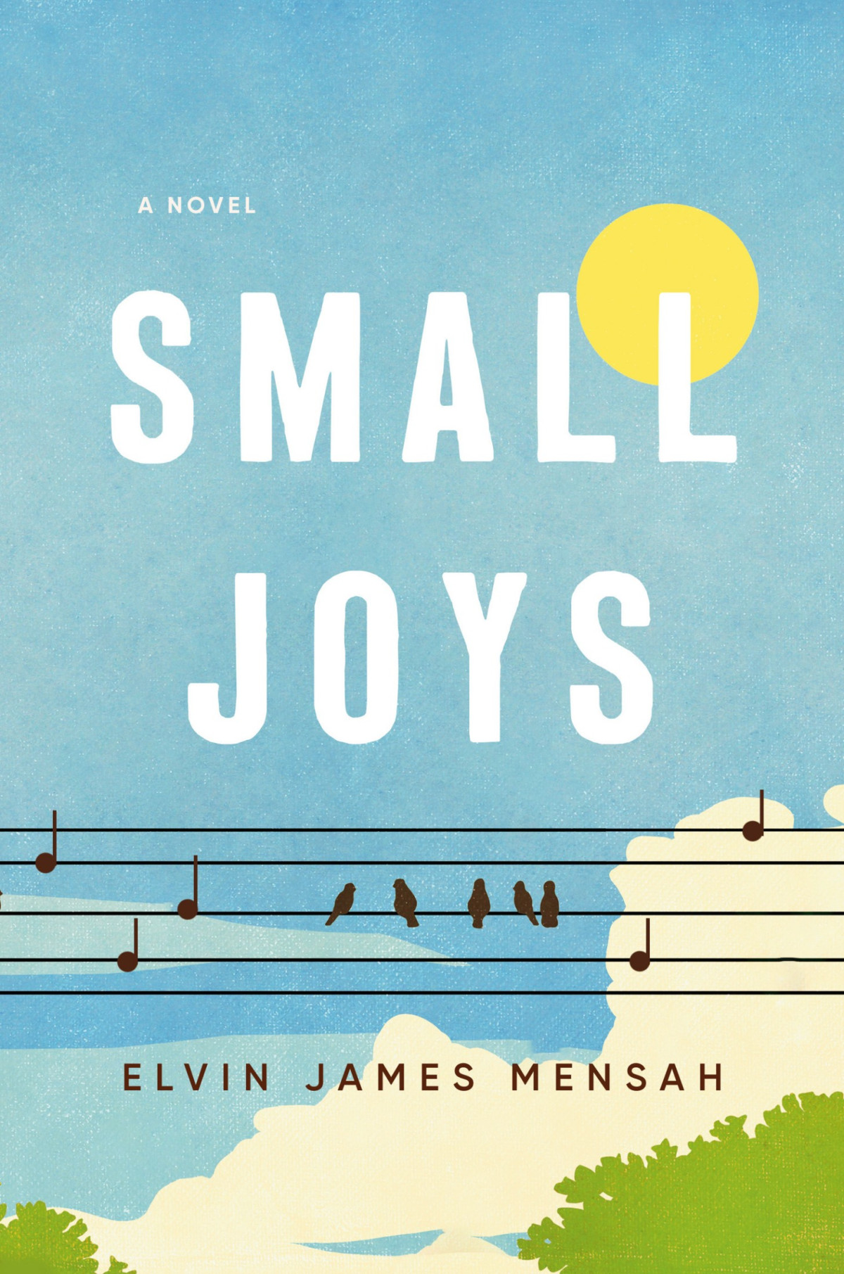 Small Joys A Novel Elvin James Mensah