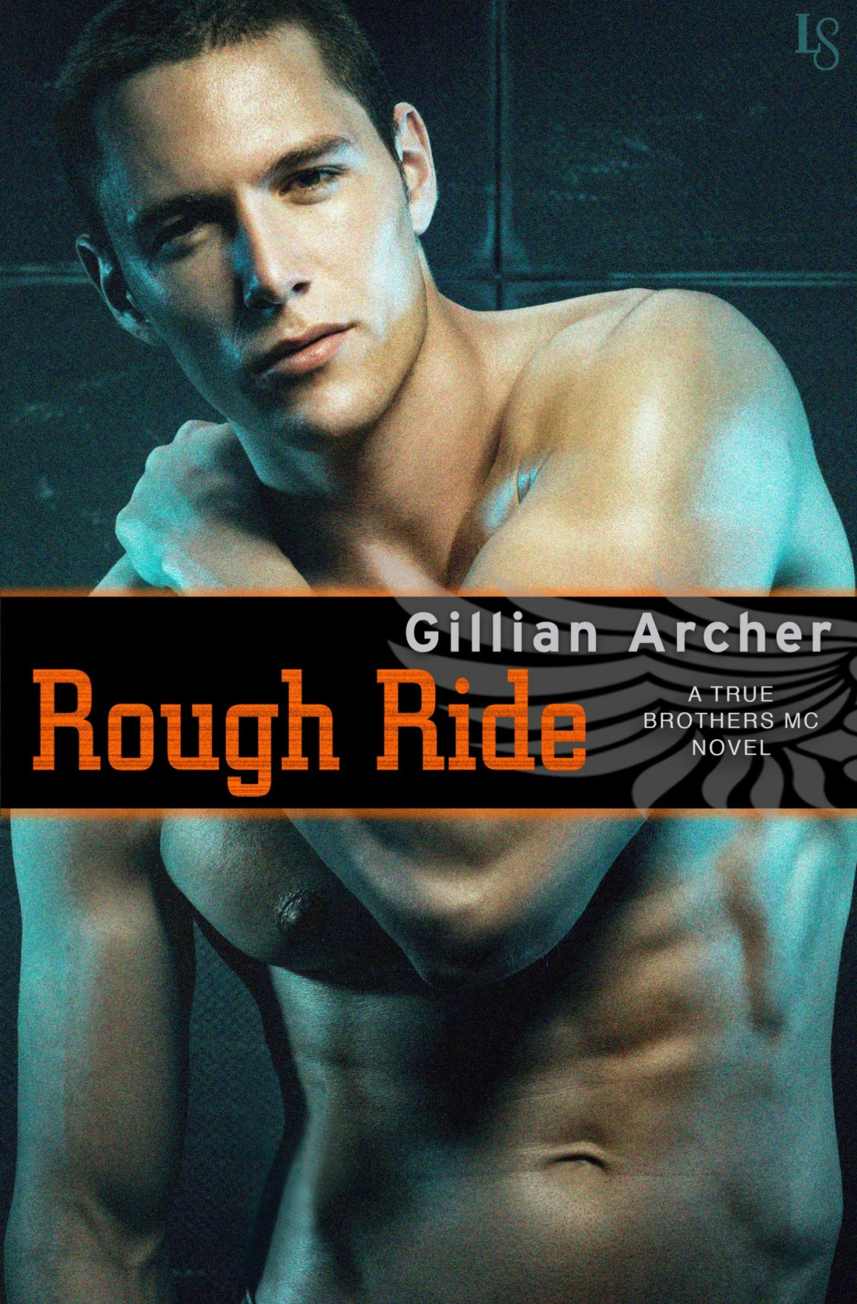 Rough Ride A True Brothers Mc Novel Gillian Archer