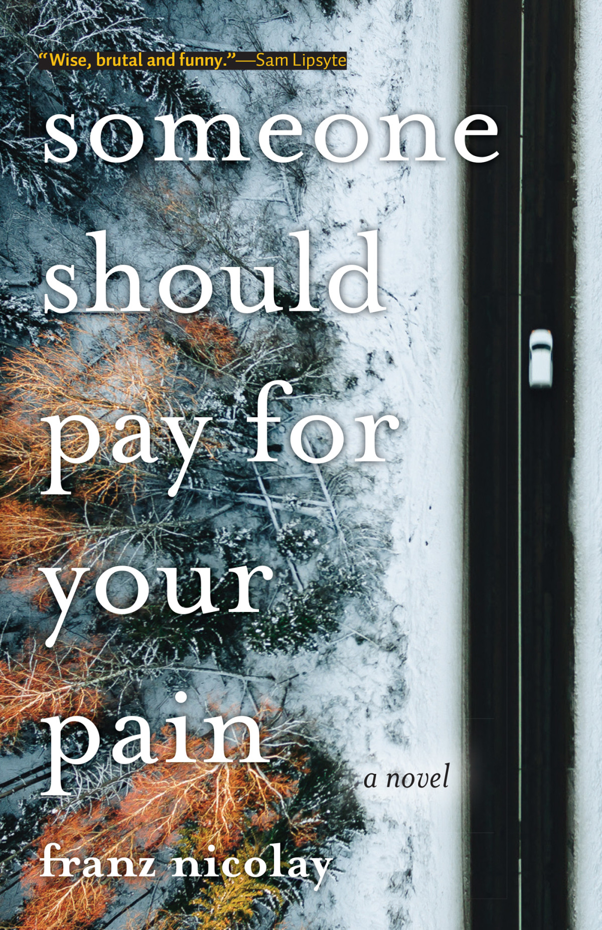 Someone Should Pay For Your Pain Franz Nicolay