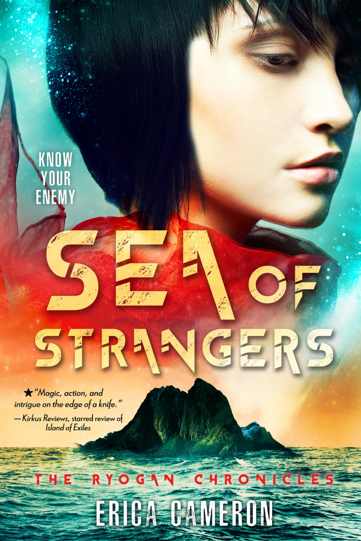 Sea Of Strangers Erica Cameron