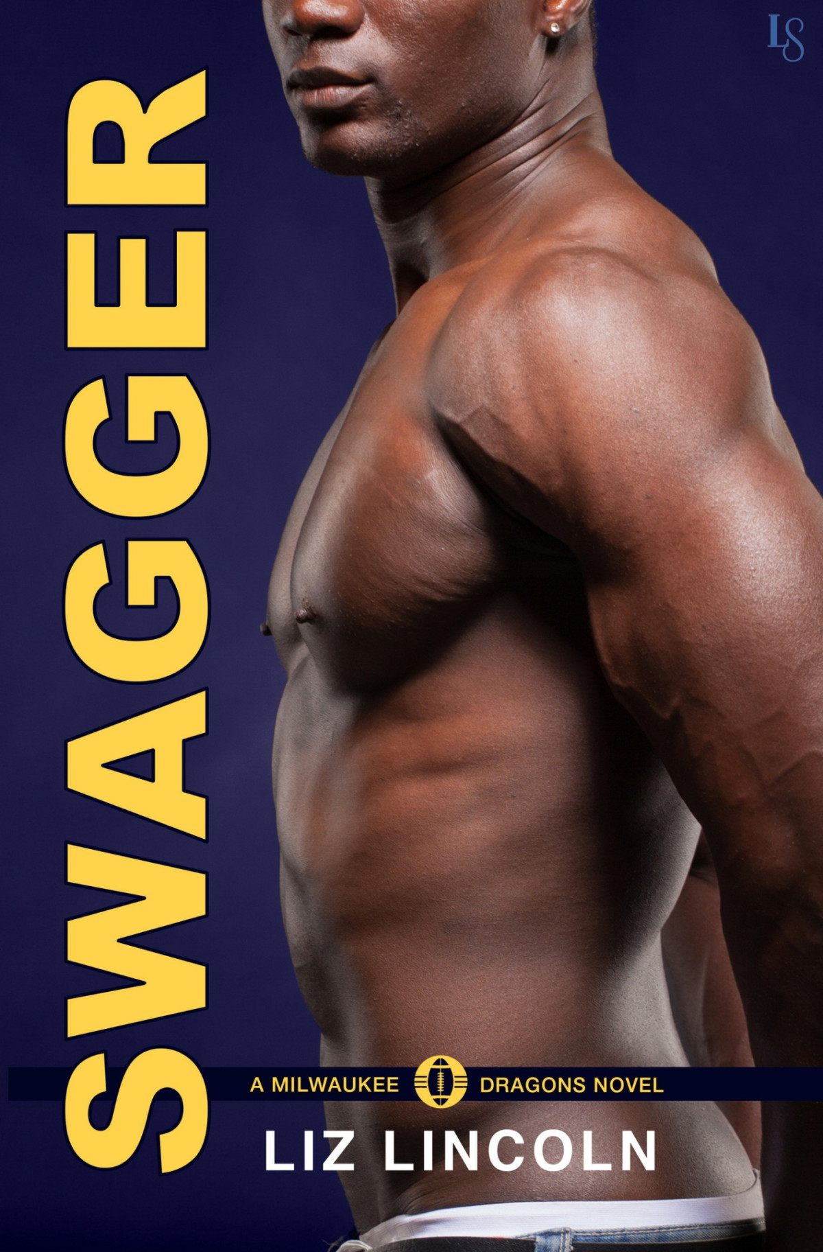Swagger A Milwaukee Dragons Novel Liz Lincoln