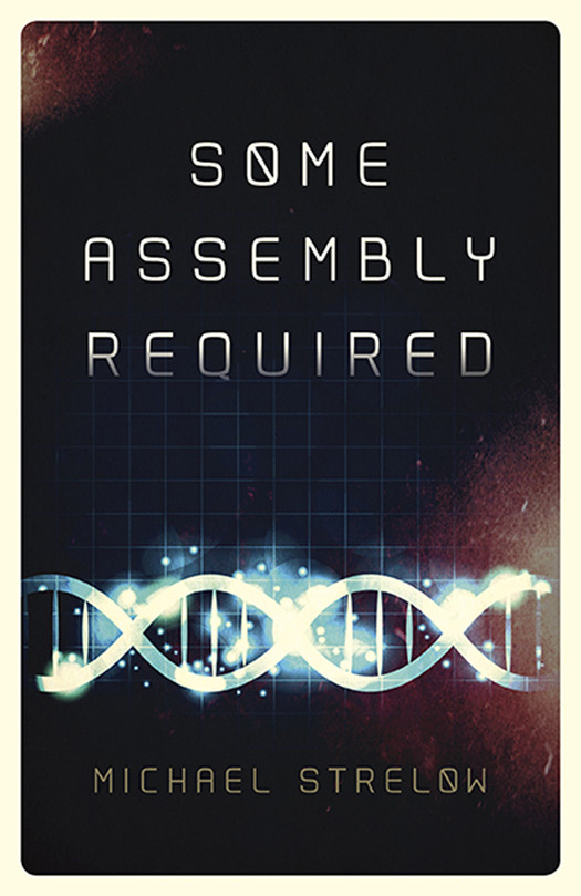Some Assembly Required Michael Strelow