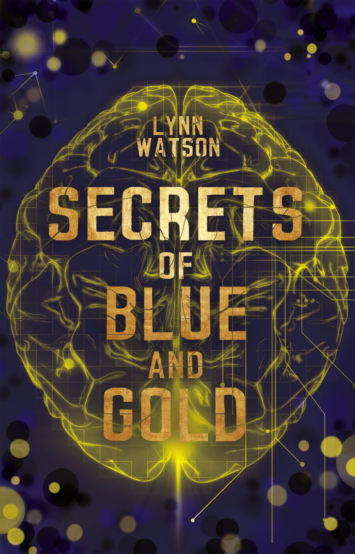 Secrets Of Blue And Gold Lynn Watson