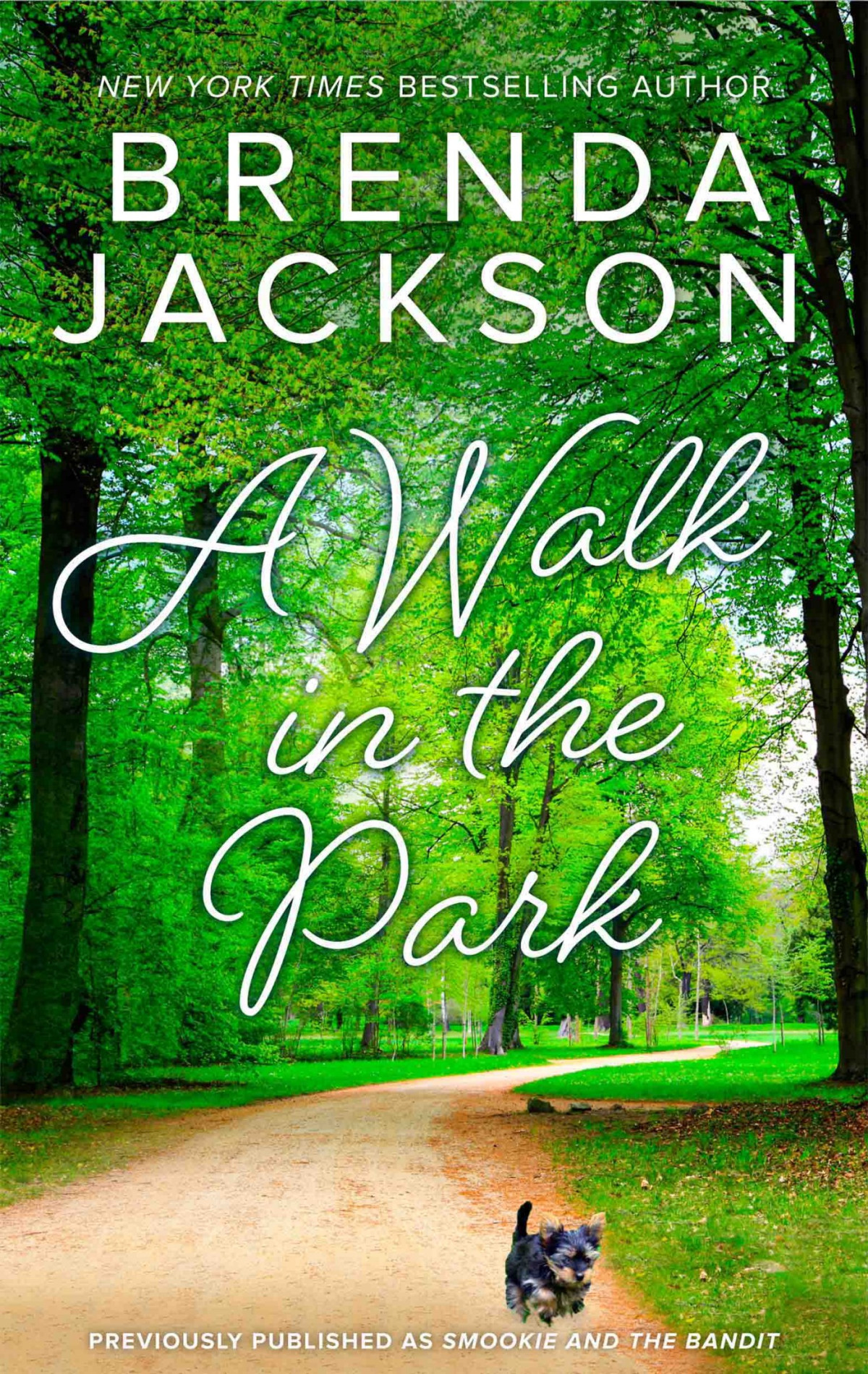 A Walk In The Park Brenda Jackson