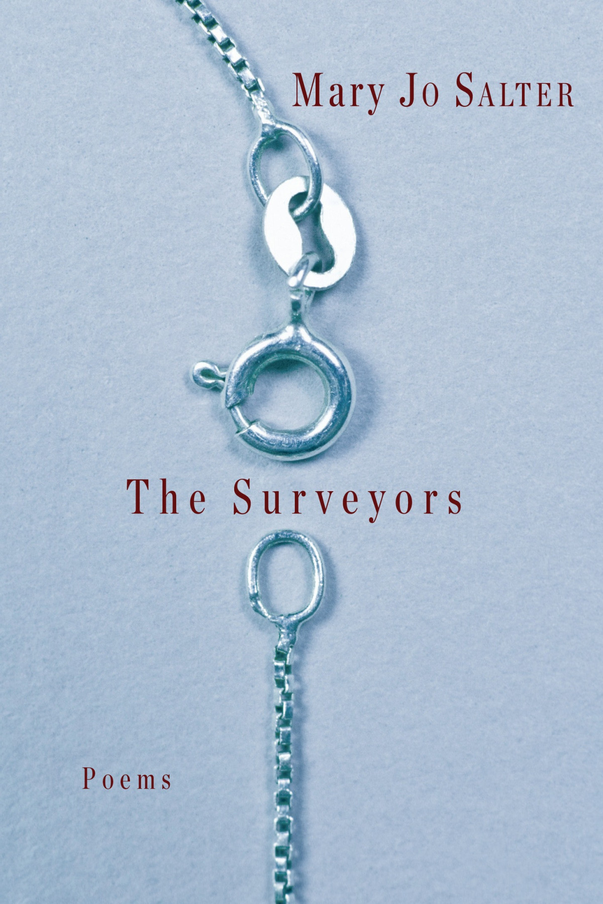 The Surveyors Mary Jo Salter