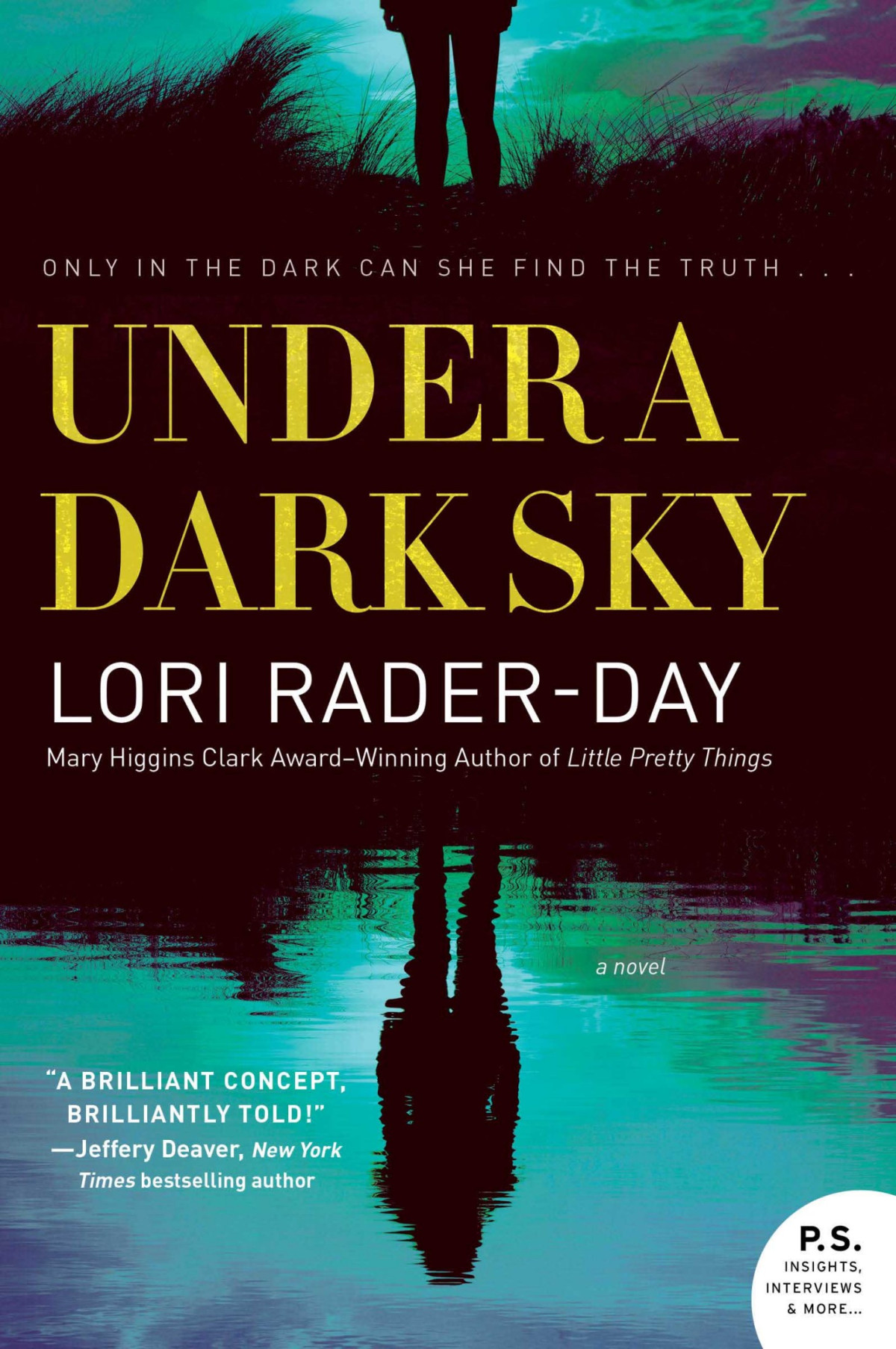 Under A Dark Sky Lori Raderday