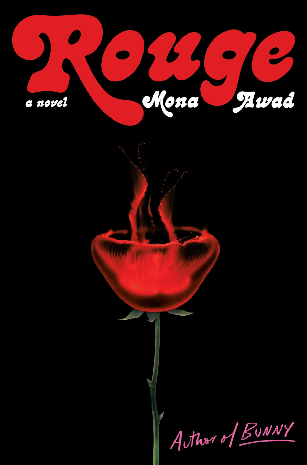 Rouge A Novel Mona Awad