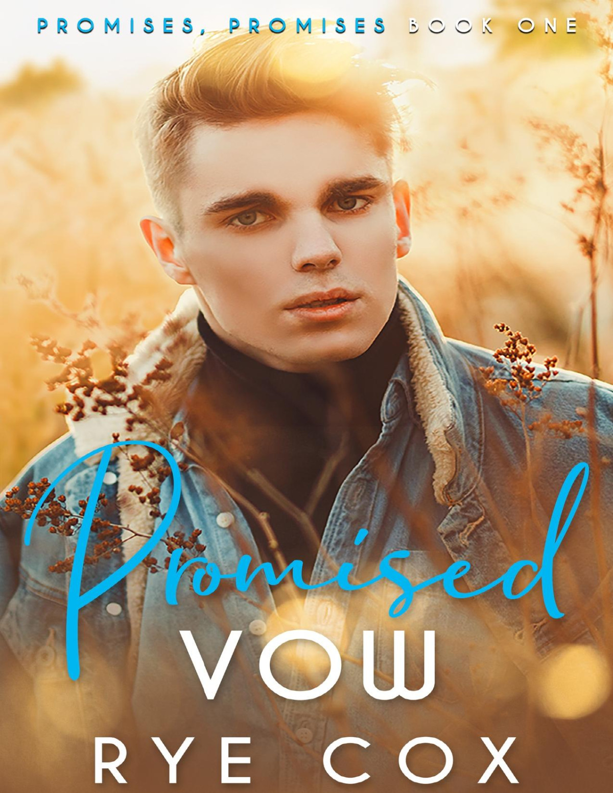 Promised Vow A Fake Fiancs Mm Romance Promises Promises Book 1 Rye Cox
