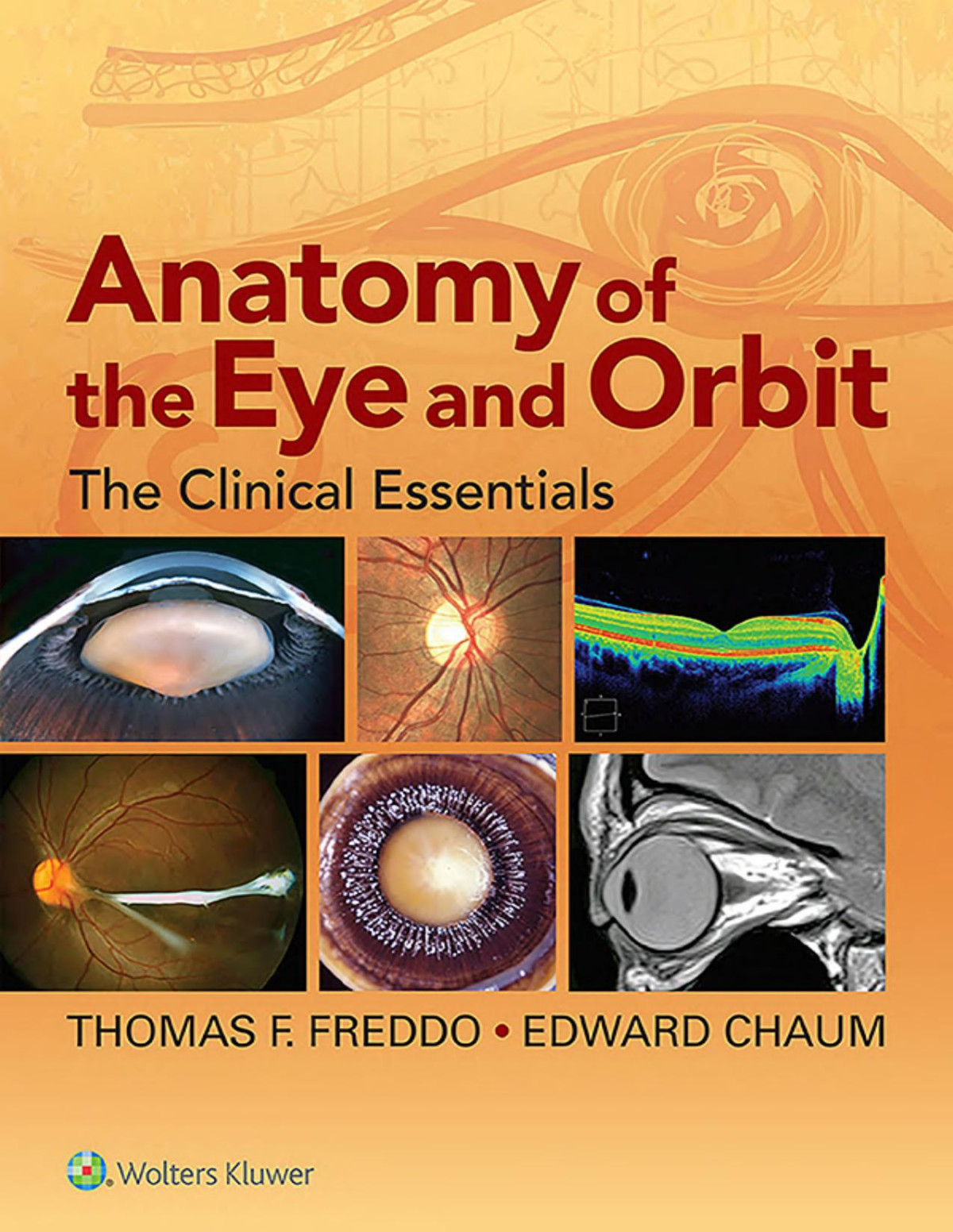 Anatomy Of The Eye And Orbit 1st Edition Thomas F Freddo Edward Chaum