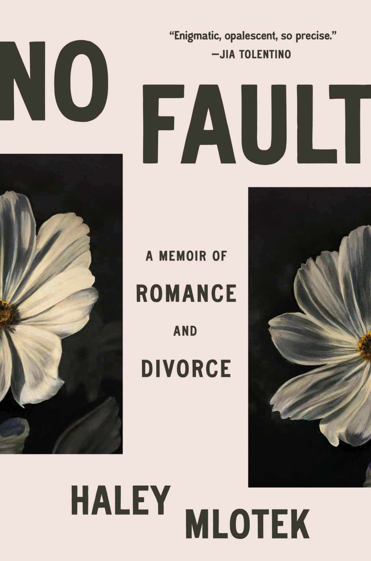 No Fault A Memoir Of Romance And Divorce Haley Mlotek