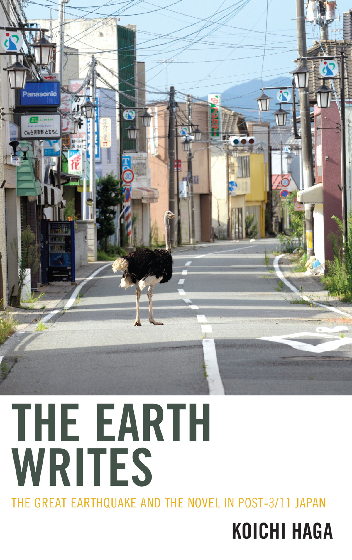 The Earth Writes Koichi Haga