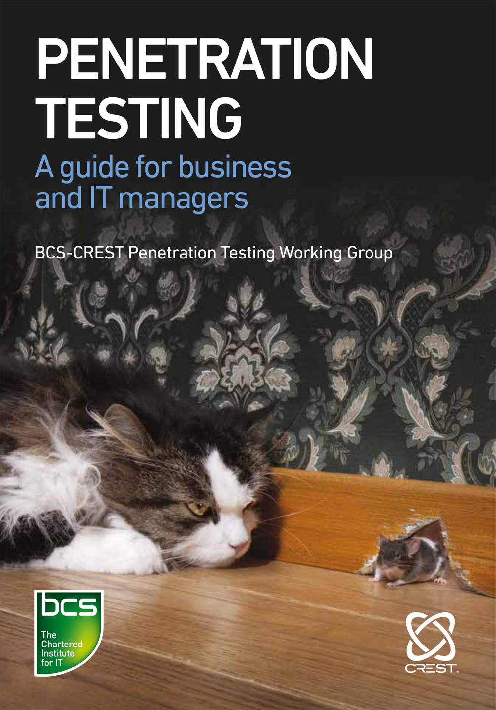 Penetration Testing A Guide For Business And It Managers Peter Taylor Felix Ryan Tylor Robinson Gemma Moore Moinuddin Zaki Jims Marchang James Hayes Sharif Gardner Nick Furneaux Rob Ellis Roderick Douglas Ceri Charlton Jason Charalambous
