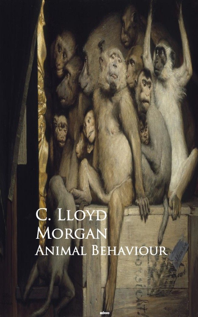 Animal Behaviour C Lloyd Morgan