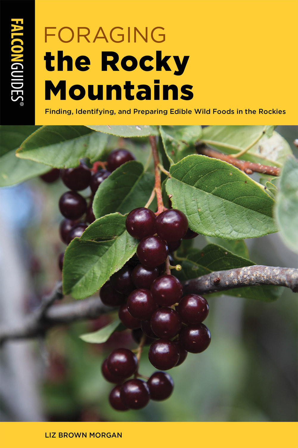 Foraging The Rocky Mountains Lizbeth Morgan