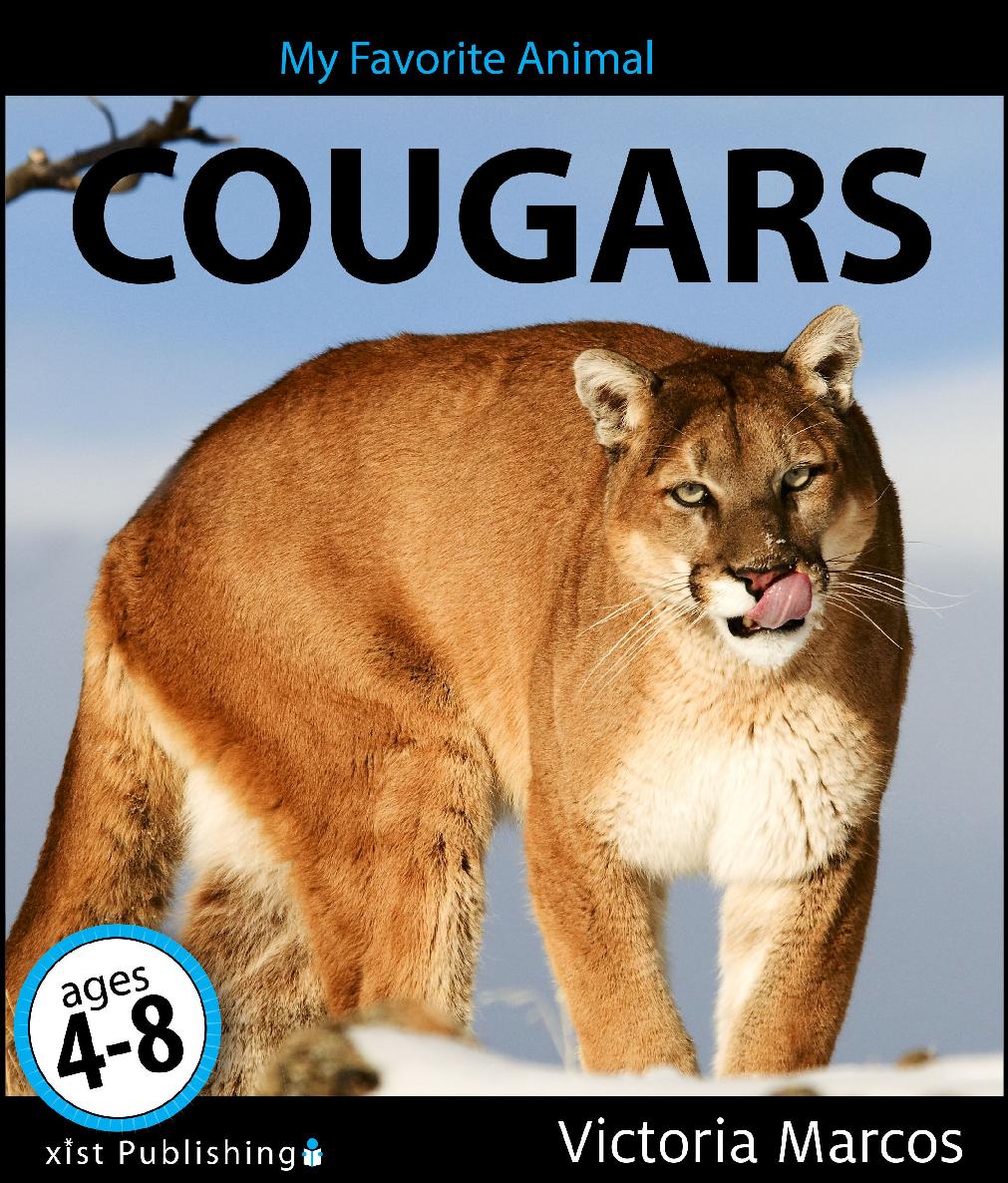My Favorite Animal Cougars Victoria Marcos