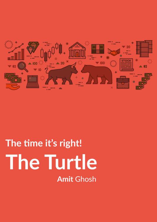The Turtle The Time Its Right Amit Ghosh