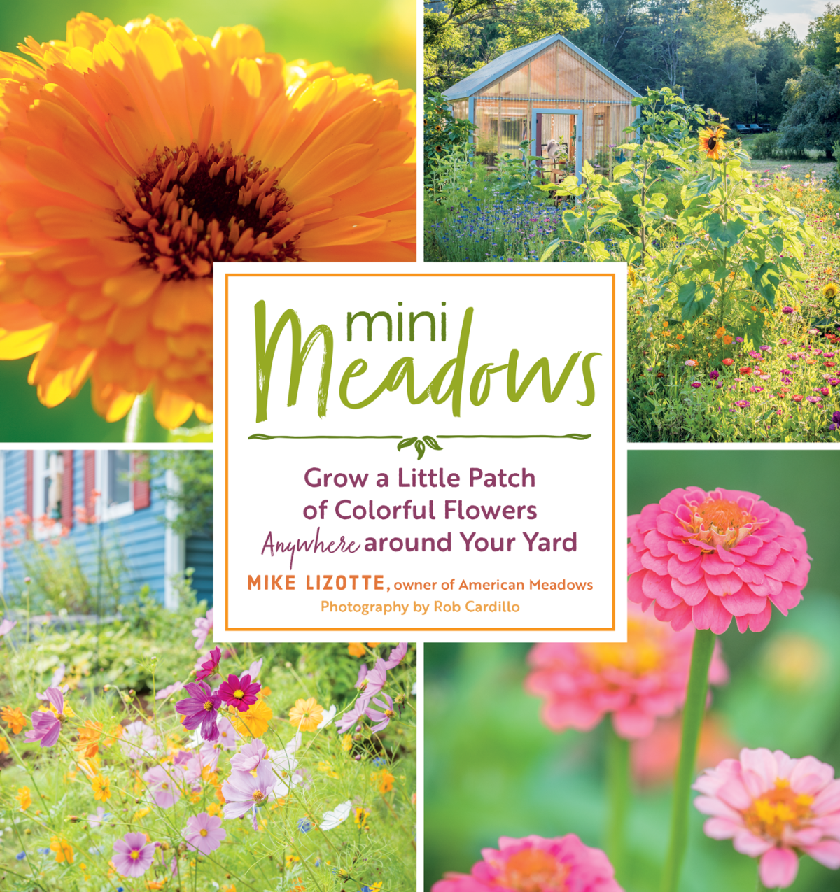 Mini Meadows Mike Lizotte