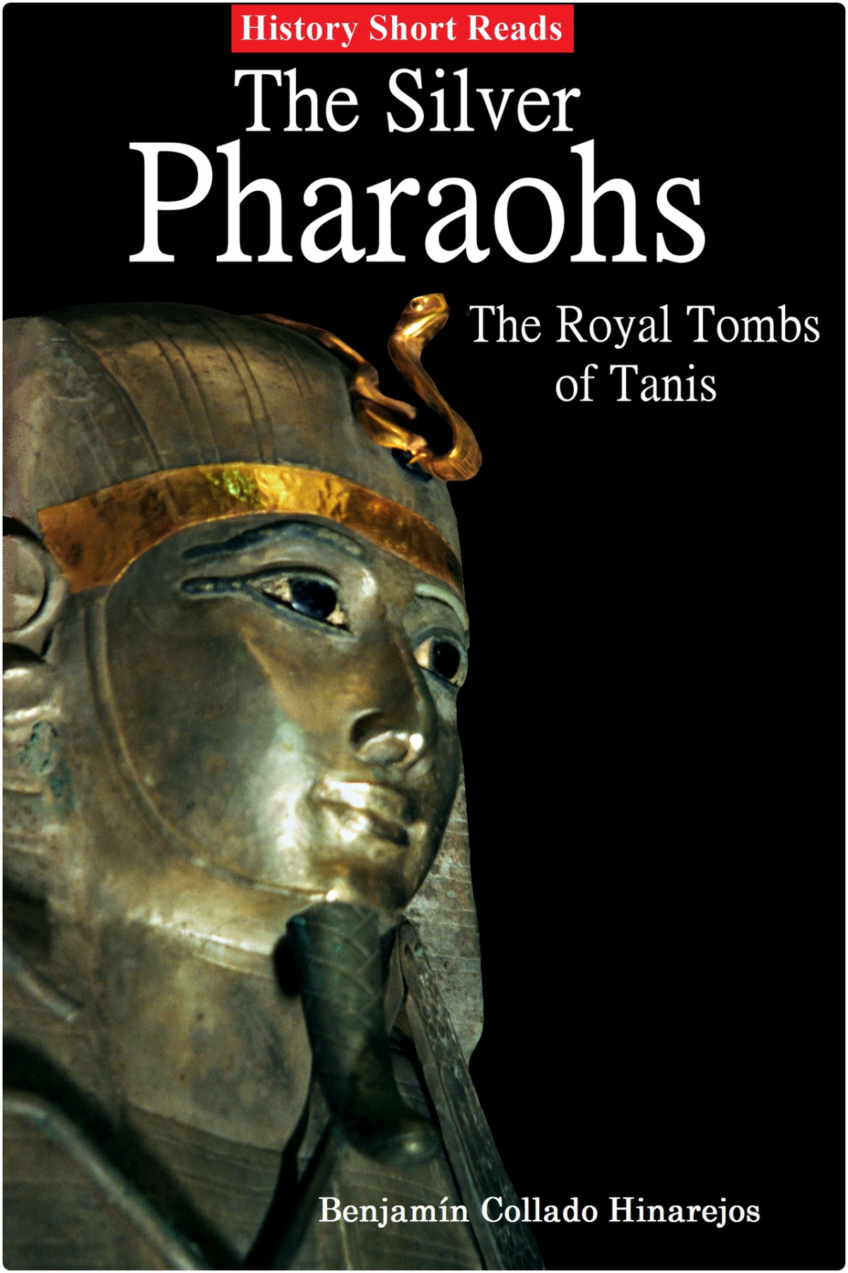 The Silver Pharaohs The Royal Tombs Of Tanis Hinarejos Benjamin Collado