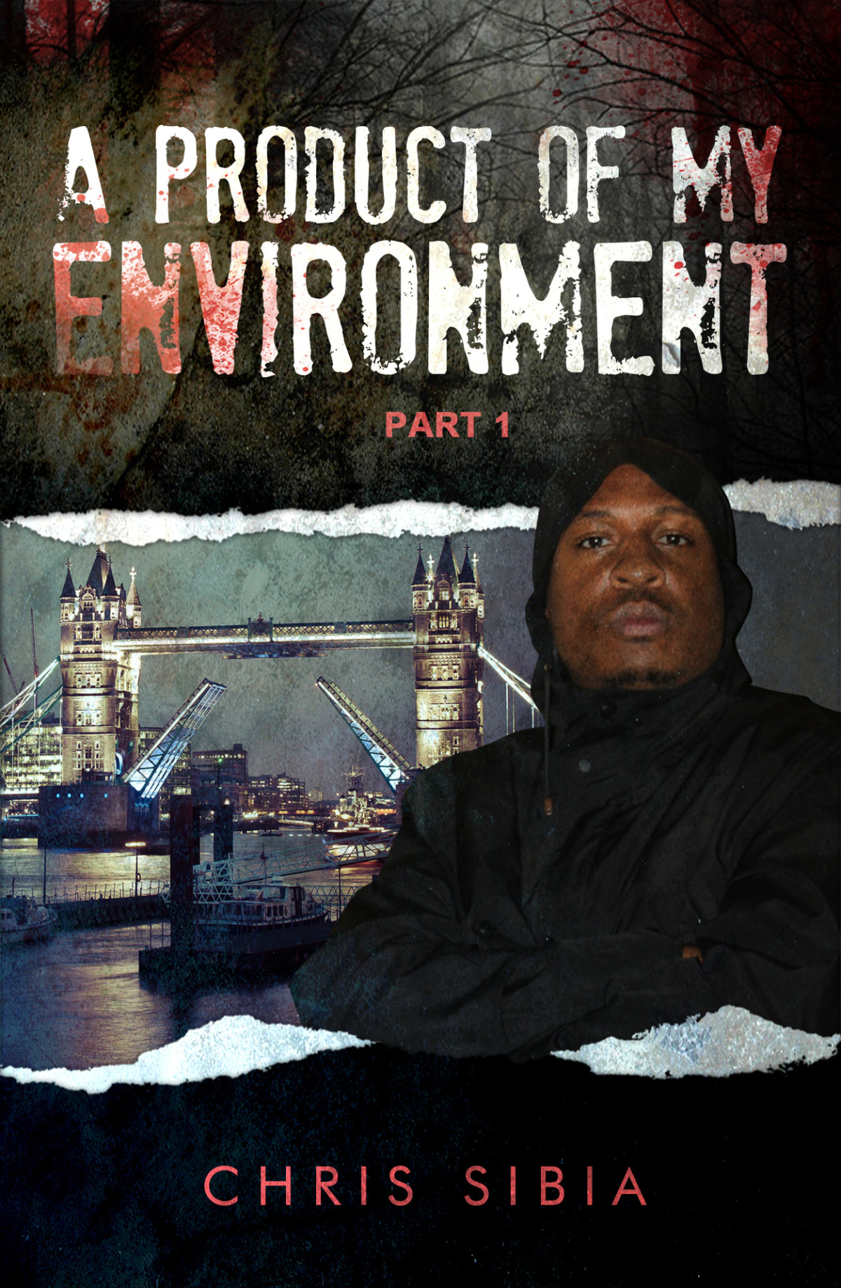 A Product Of My Environment Part 1 Sibia Chris
