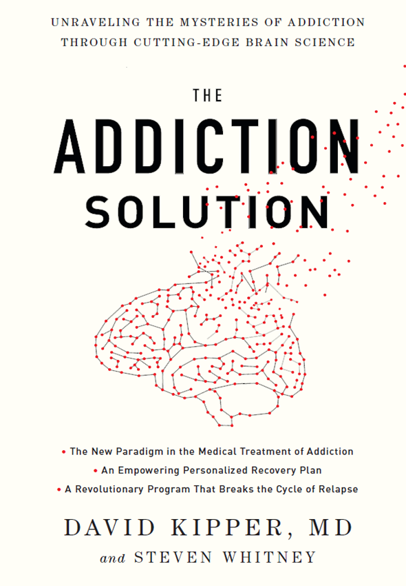 The Addiction Solution David Dipper Steven Whitney