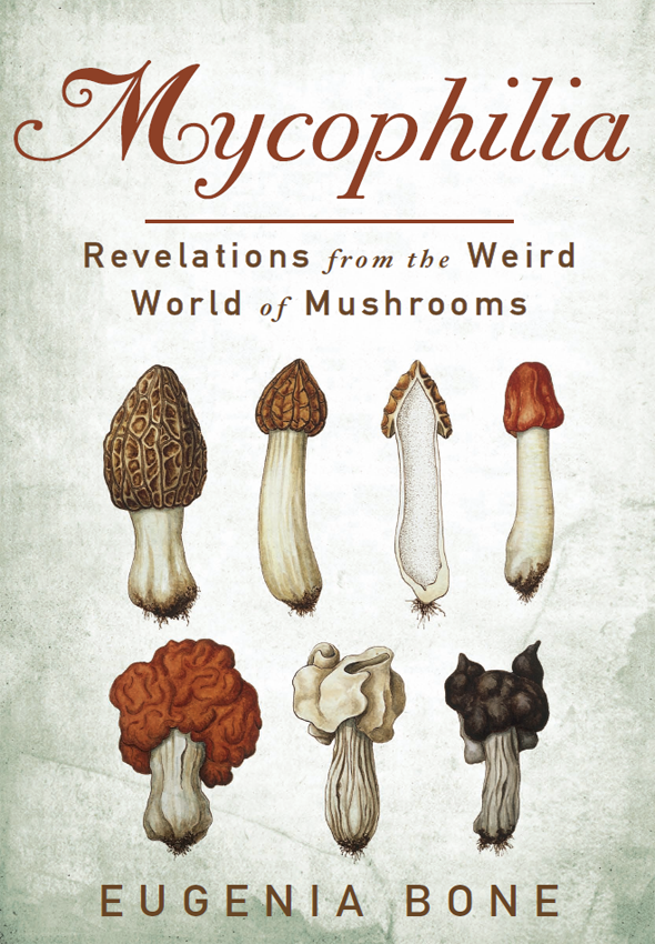 Mycophilia Eugenia Bone