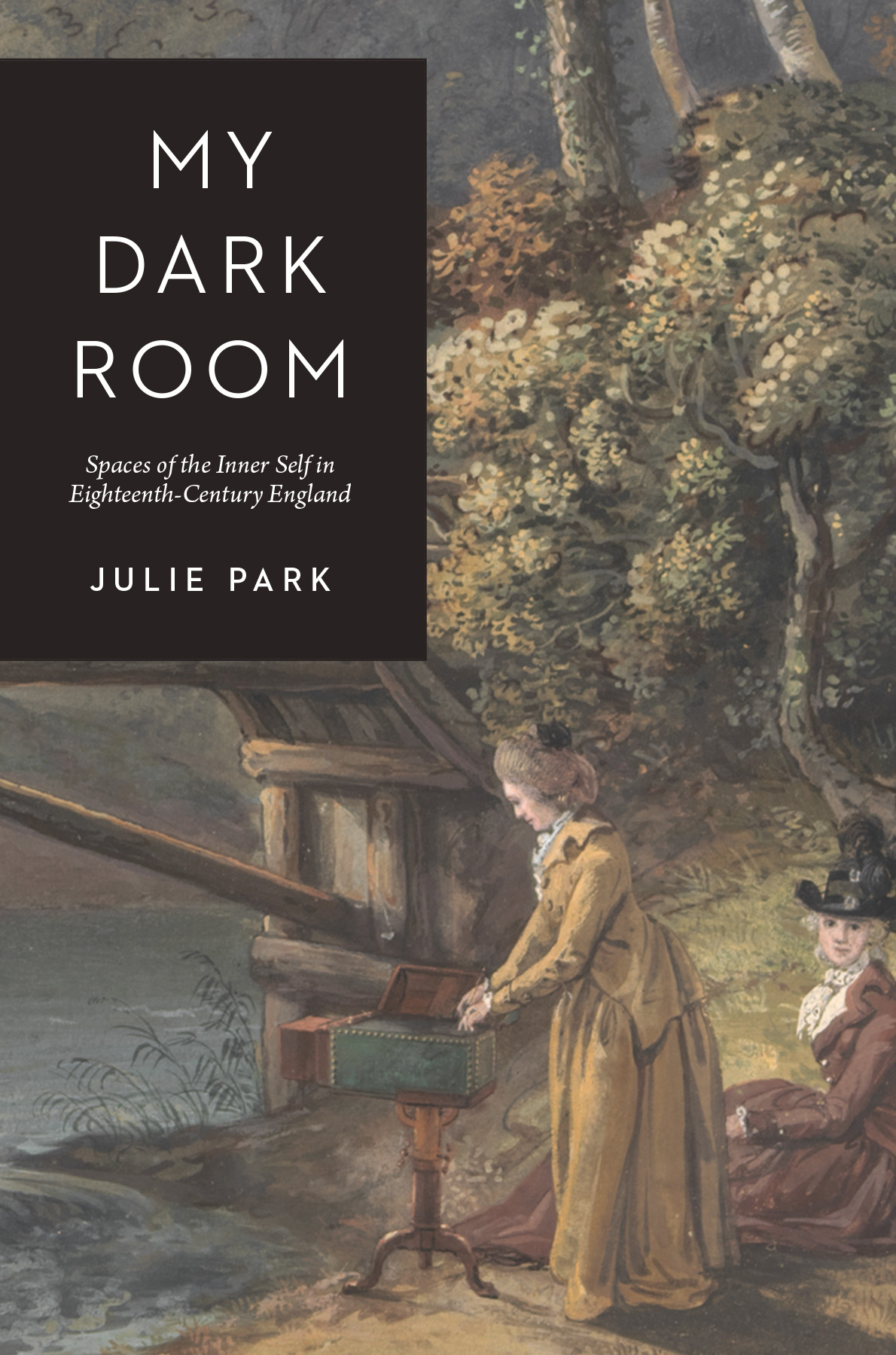 My Dark Room Spaces Of The Inner Self In Eighteenthcentury England Julie Park