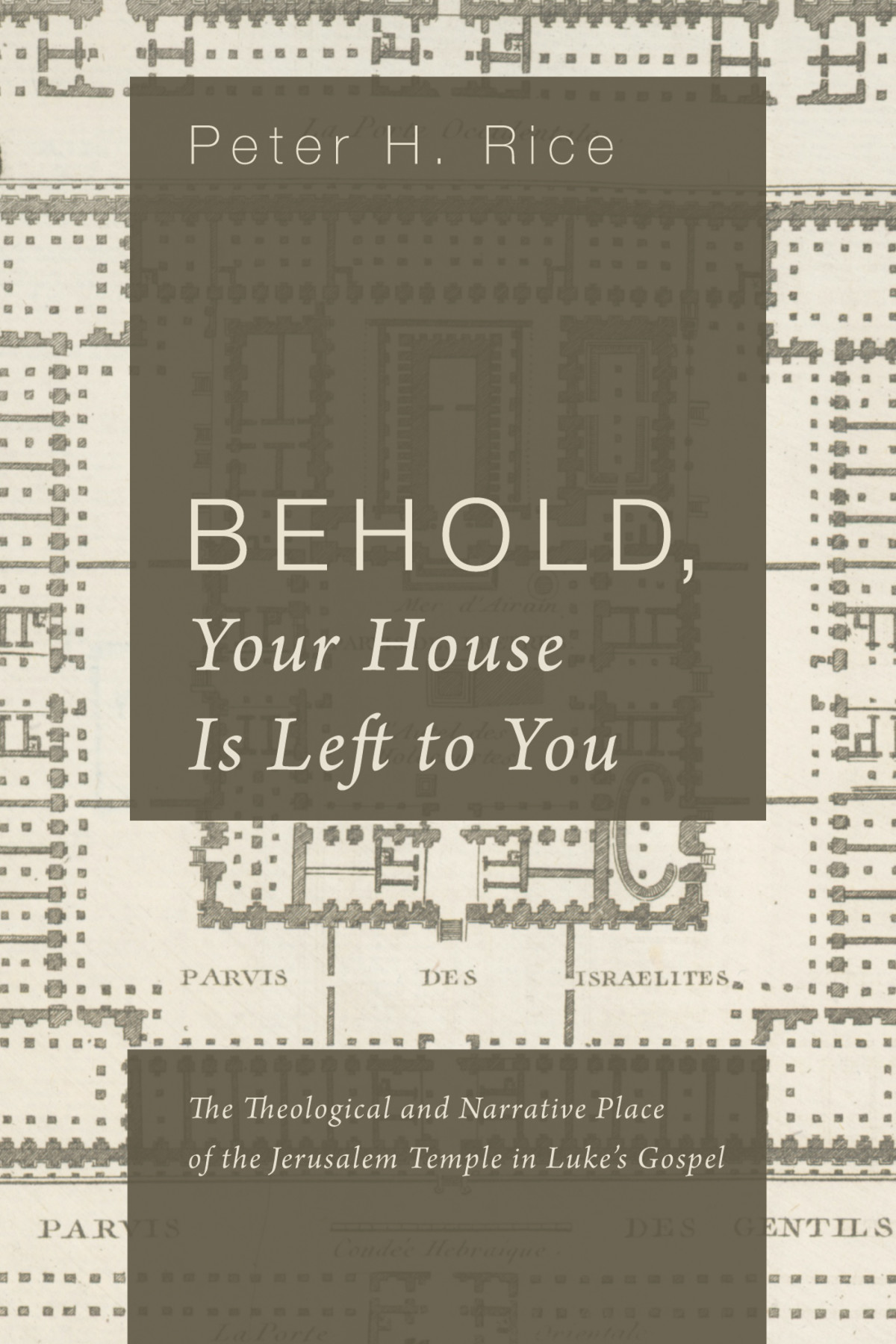 Behold Your House Is Left To You Peter H Rice